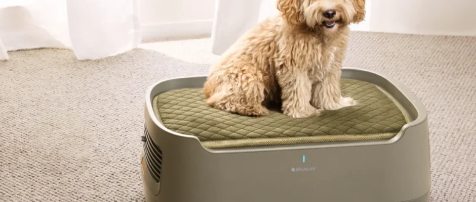 Blueair PetAir Pro Air Purifier featured image