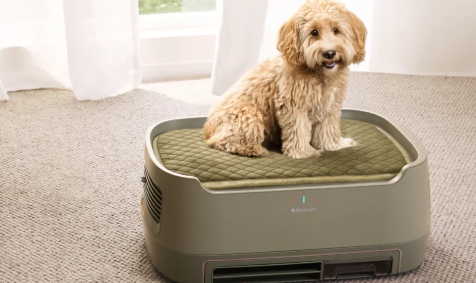 Blueair PetAir Pro Air Purifier featured image