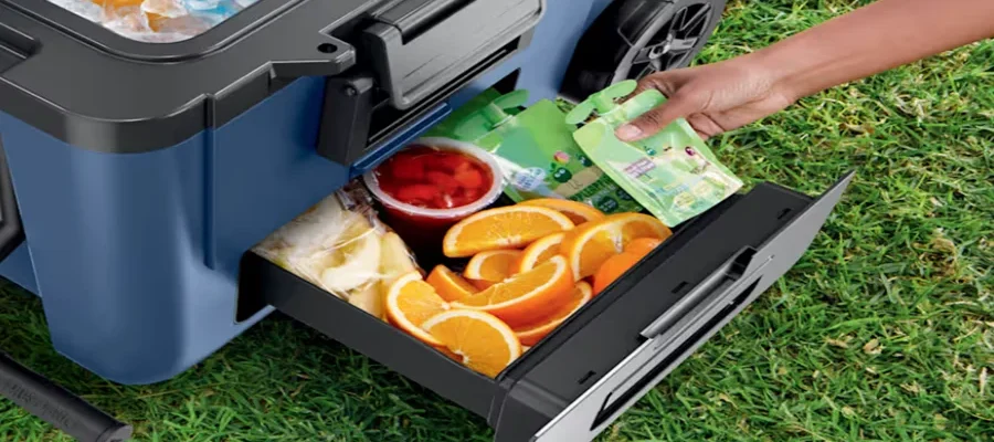 Ninja FrostVault Cooler featured image