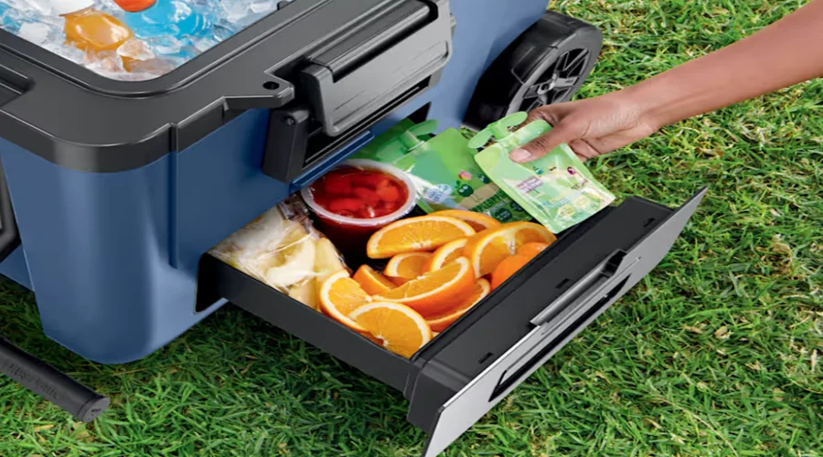 Ninja FrostVault Cooler featured image
