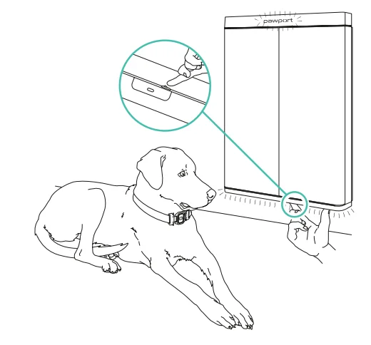 Pawport Outdoor Pet Door 12