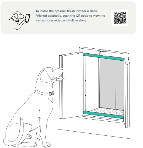 Pawport Outdoor Pet Door 13