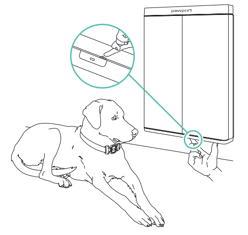 Pawport Outdoor Pet Door 8