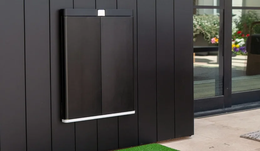 Pawport Outdoor Pet Door feat