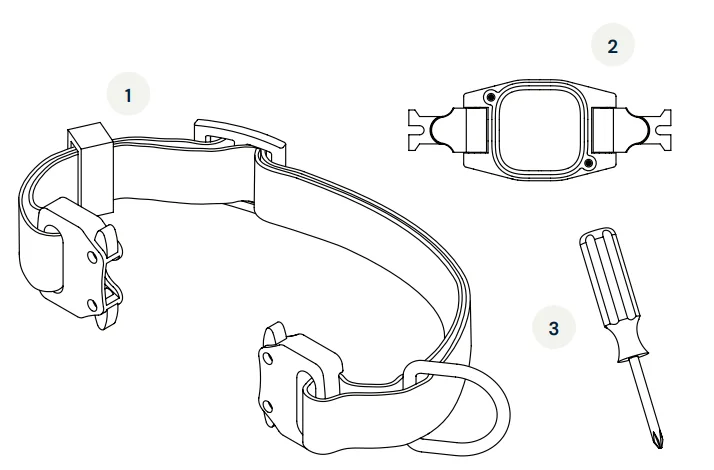 Pawport Pet Collar 1
