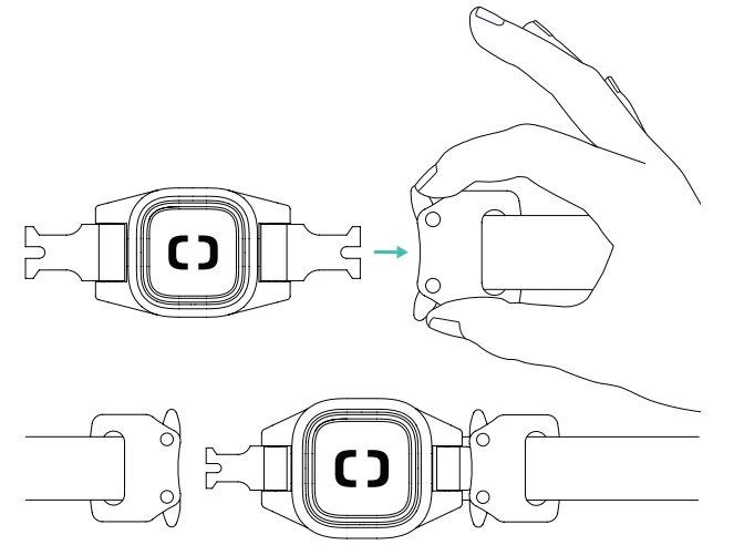 Pawport Pet Collar 8