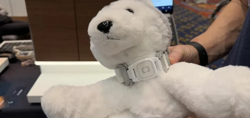 Pawport Pet Collar feat