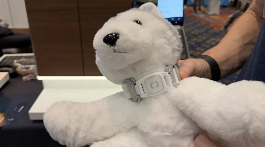 Pawport Pet Collar feat