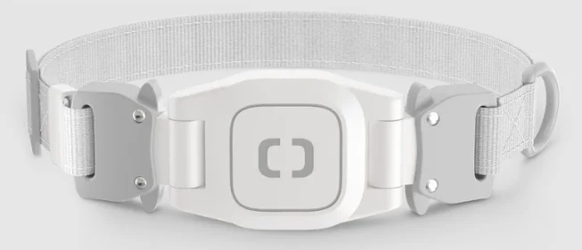 Pawport Pet Collar prod