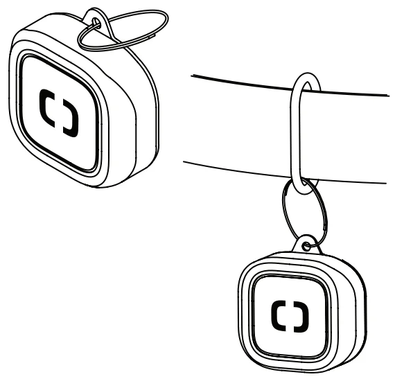 Pawport Smart Pet Tag 5