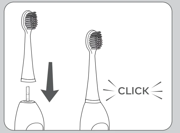 Waterpik Sensonic Water Flosser-Electric Toothbrush 8
